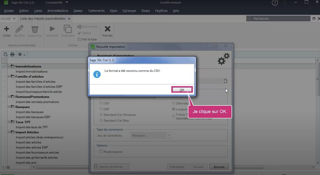 Importer-ecritures-Sage50-Chaintrust-07.png
