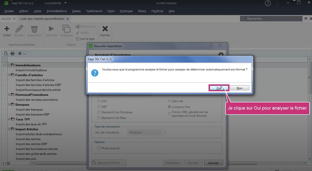 Importer-ecritures-Sage50-Chaintrust-06.png
